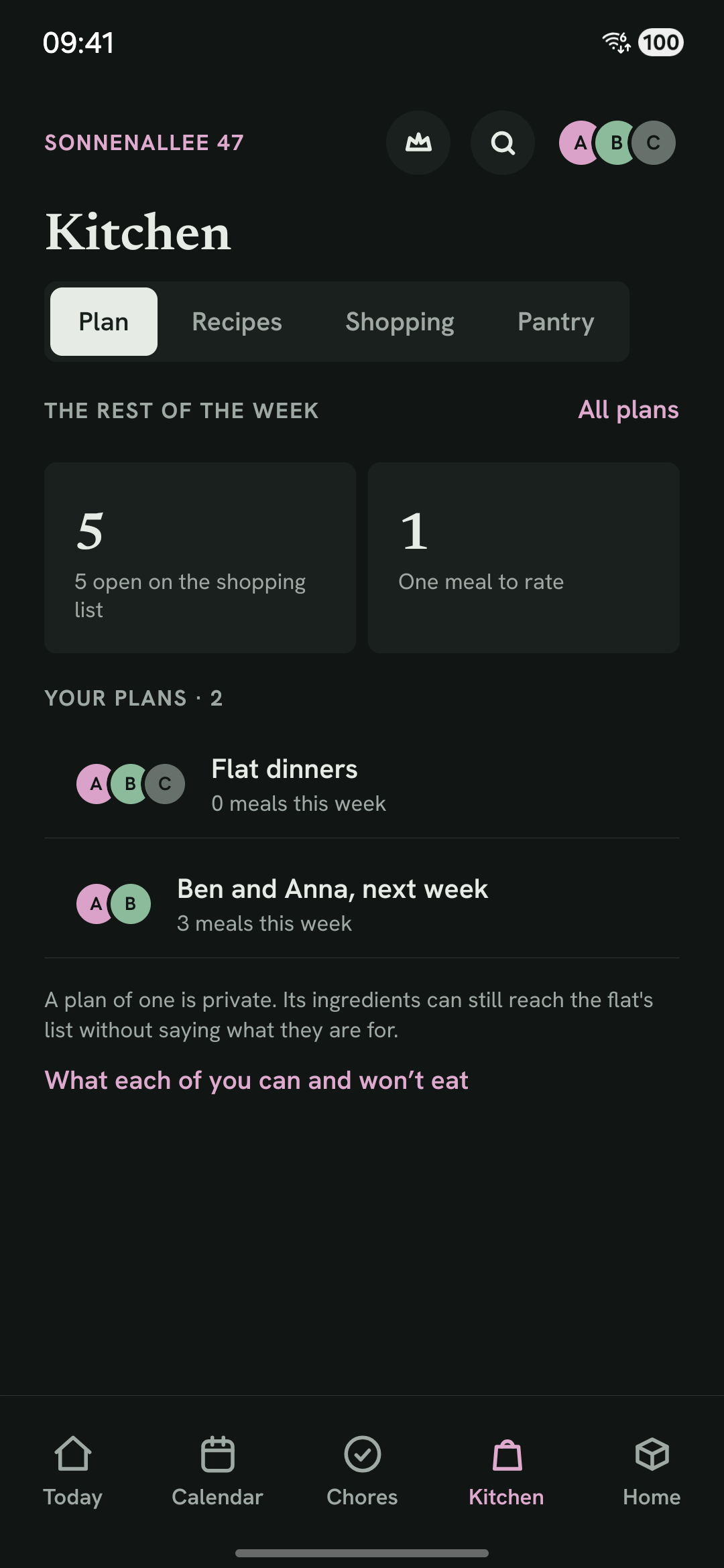 The Kitchen tab with the week's plan and the shopping list.